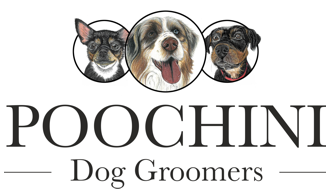 Poochini Dog Groomers, Christleton Chester