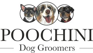 Poochini Dog Grooming Salon in Chester